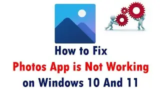 How to Fix Photos App is Not Working on Windows 10 and 11 1