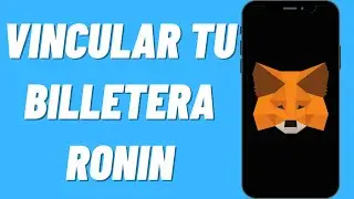 Cómo vincular tu billetera Ronin a Metamask