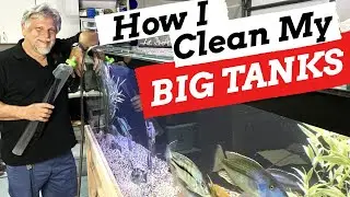 CLEANING My BIGGEST TANKS!