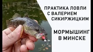 Городская рыбалка в Минске. Мормышинг. Практика ловли с Валерием Сикиржицким.