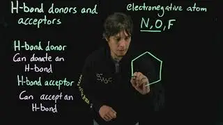 Topic 2.8 - H bond donors and acceptors