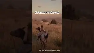 #rdr2