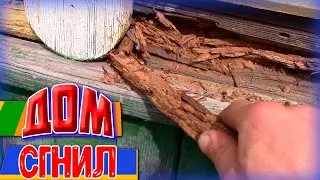КУПИЛ ДОМ на ХУТОРЕ У РЕКИ - Сгнил дом но природа радует. Художник в деревне.