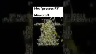 pov: Minecraft #memes #shorts #minecraft