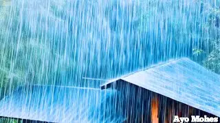 Serene Rain and Thunder: Relaxing Sounds on Cabin Roof for Deep Sleep and Calm Mind