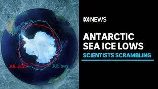 Antarctic sea ice levels dive in five-sigma event, experts flag worsening consequences | ABC News