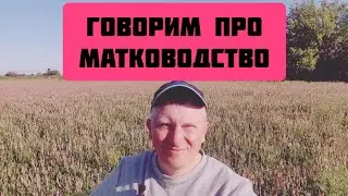 ✅Про виведення маток на моїй пасіці