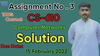 CS610 Assignment No 3 Correct Solution |Fall 2021 & 2022 | CS610 100% Complete Solution By Usama Raj