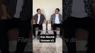 Düz Mantık Uzmanı