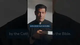 "The Entire Bible... in 10 Minutes?" (feat. Fr. Mike Schmitz) #shorts