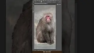 Perfect hair Remove in Monkey in 60 Second😱 #shortsfeed #shorts #photoshop