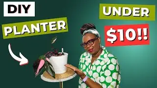 Make Your Own Self-watering Planter For UNDER $10!