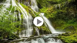 Panther Creek Falls, OR