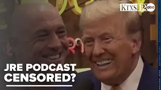 YouTube responds to Rogan Trump podcast interview 'issue' raised by users, podcaster