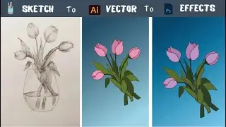 Adobe Illustrator for Beginners - Sketch to Vector Tutorial