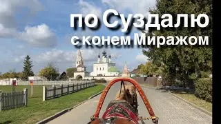 Walk: Suzdal with the horse Mirage [4K] September 29, 2023 / 21°C