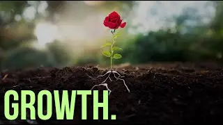 Growth | AI PHOTOSHOP Animation