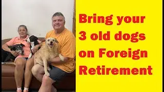 How to bring your 3 old dogs on foreign retirement