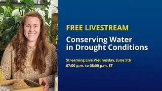 Conserving Water in Drought Conditions