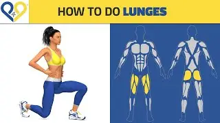 How To do Lunges