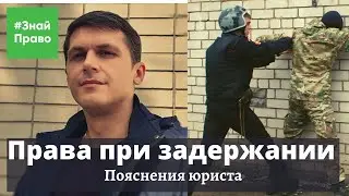 Административное задержание / Права при задержании полицией / #ЗнайПраво