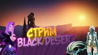 Black Desert Открытие серверов !!!!