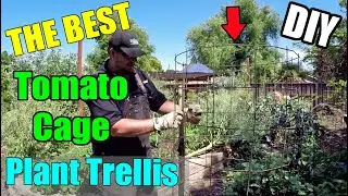 How To BUILD The Absolute BEST Tomato Cage / Plant Trellis Money Can't Buy!