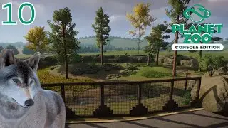 WALKTHROUGH WOLF CAVE  | Planet Zoo Console Edition Franchise Mode