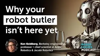 Why your robot butler isn't here yet | Ken Goldberg