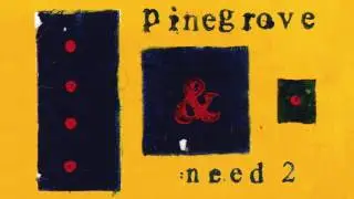 Pinegrove - Need 2