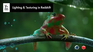 Animated Frog, Full Scene Breakdown! Chapter 2: Lighting & Texturing In Redshift & C4D