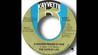 Facts Of Life   A Hundred Pounds Of Pain