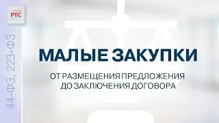 Малые закупки от размещения предложения до заключения договора (02.06.2023)