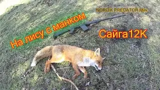 Охота на лису с манком.