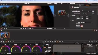 Intro To Beauty Box Video Plugin 3.0 in Davinci Resolve – Digital Anarchy