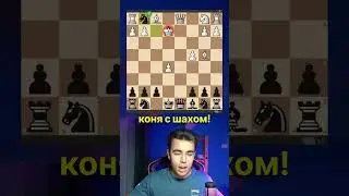 Насколько хорош КОНТРГАМБИТ АЛЬБИНА в шахматах?! 