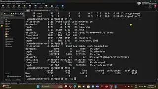 Basic Linux Commands and IM Installation 30 07 2024