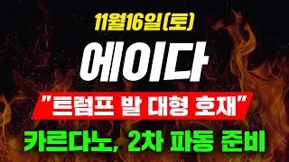 [긴급속보] 11월16일(토)에이다