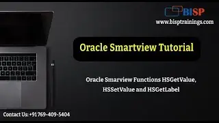 Oracle Smarview Functions HSGetValue, HSSetValue and HSGetLabel | Oracle Smartview Tutorial | BISP