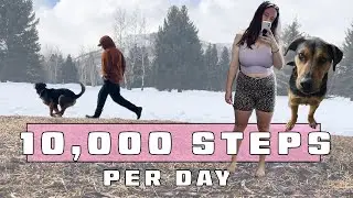 Walking 10,000 Steps (5 Miles) a Day for a Week