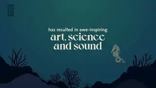 Animals: Art, Science and Sound