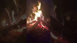 Campfire Sound Effect #ASMR #marshmallow #firecamp