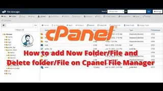 How to remove and a add new folder/file on cPanel File manager | 2022