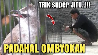 TRUCUK OMBYOKAN Jadi Super Garang || part #3