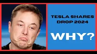 TESLA SHARES TUMBLE (TESLA UPDATE 2024) ELON MUSK TWITTER (X)  TWITTER CAUSES STOCK TO PLUMMET.