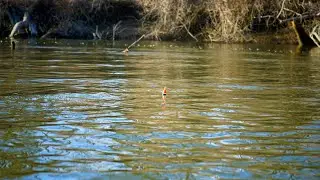 Winter Steelhead BOBBER DOWNS! + FULL RIG RUN DOWN FOR FLOAT FISHING