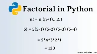 Factorial Number In Python - Free Python Course