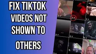 How To Fix Tiktok Not Showing Your Video To Others