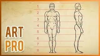 How to draw the HUMAN BODY Proportions [METHOD]