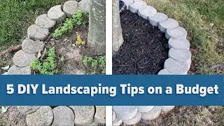 5 DIY Landscaping Tips on a Budget